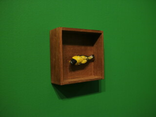 As vidas da natureza-morta