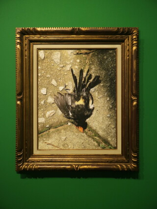 As vidas da natureza-morta