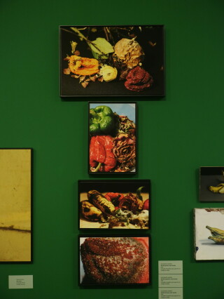 As vidas da natureza-morta