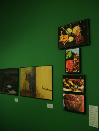 As vidas da natureza-morta