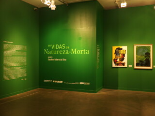 As vidas da natureza-morta