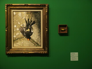 As vidas da natureza-morta