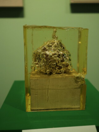 As vidas da natureza-morta