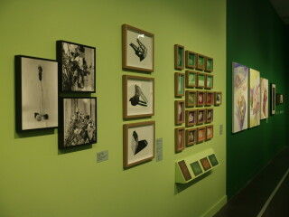 As vidas da natureza-morta