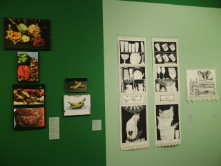 As vidas da natureza-morta