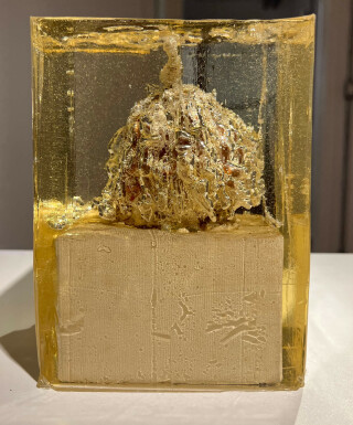 As vidas da natureza-morta