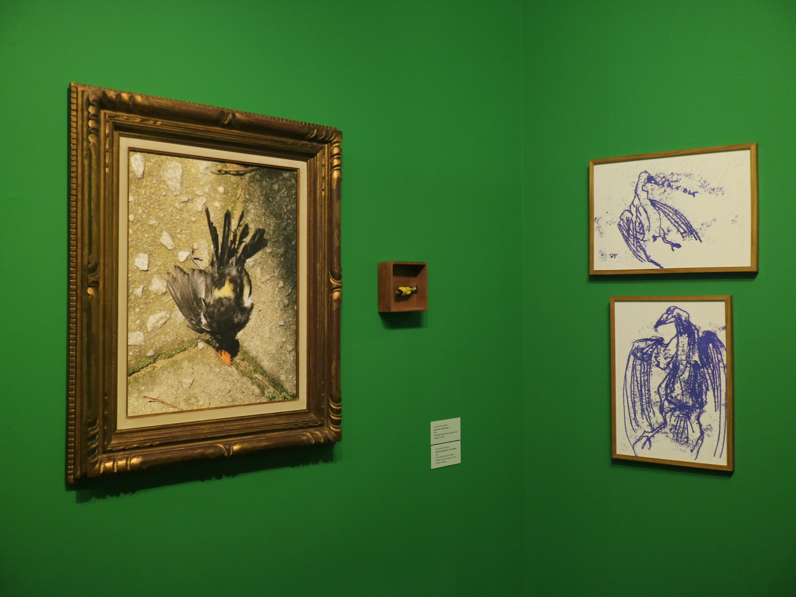 As vidas da natureza-morta