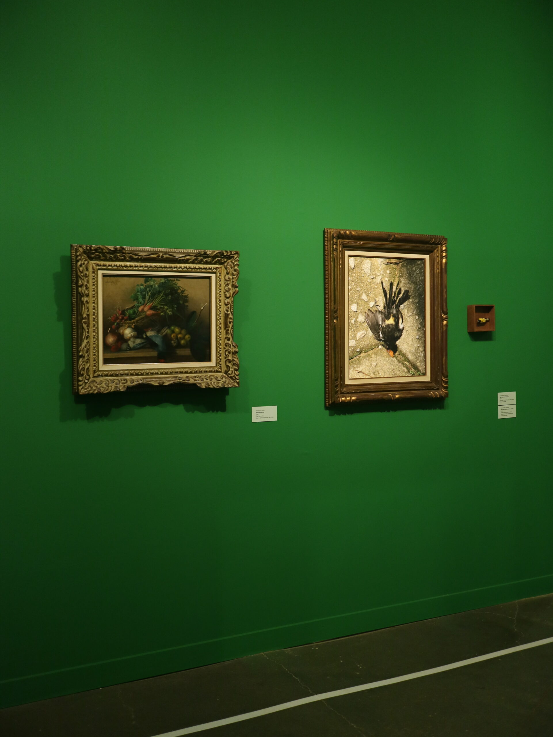 As vidas da natureza-morta