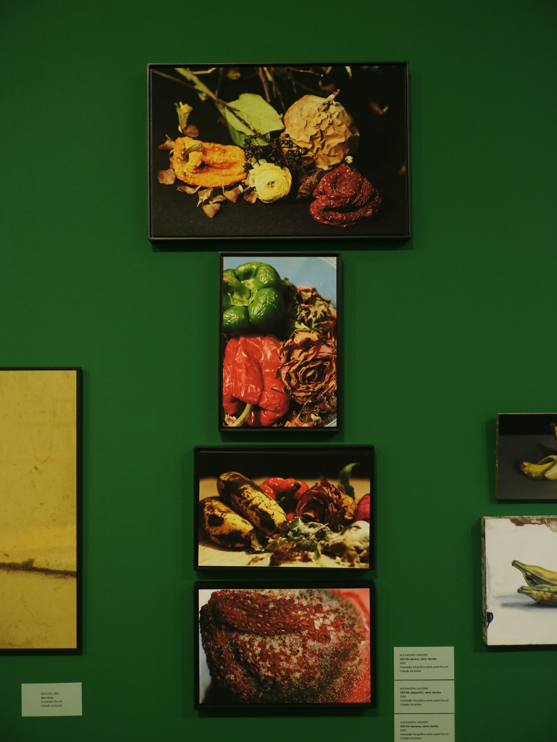 As vidas da natureza-morta