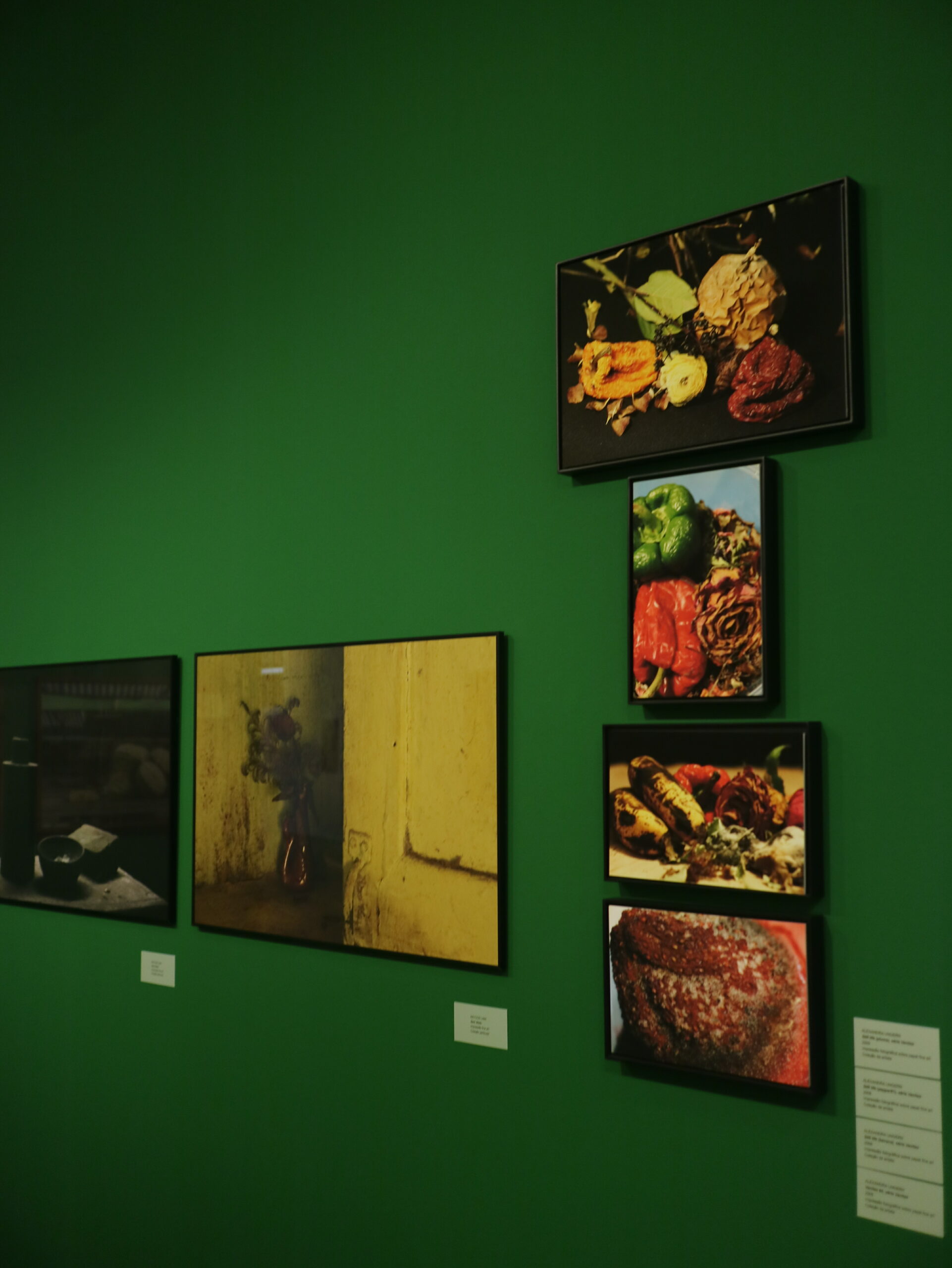 As vidas da natureza-morta