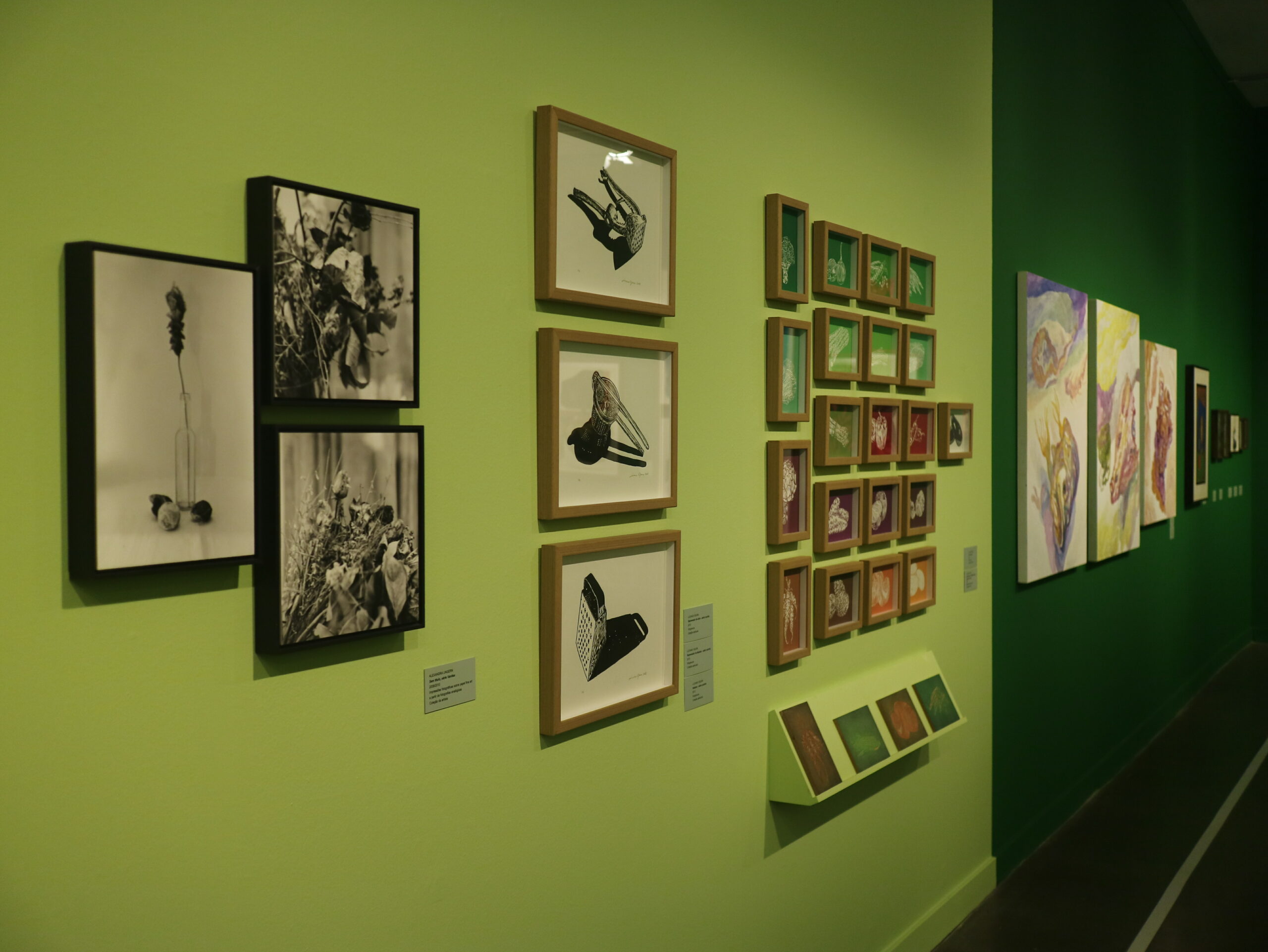 As vidas da natureza-morta