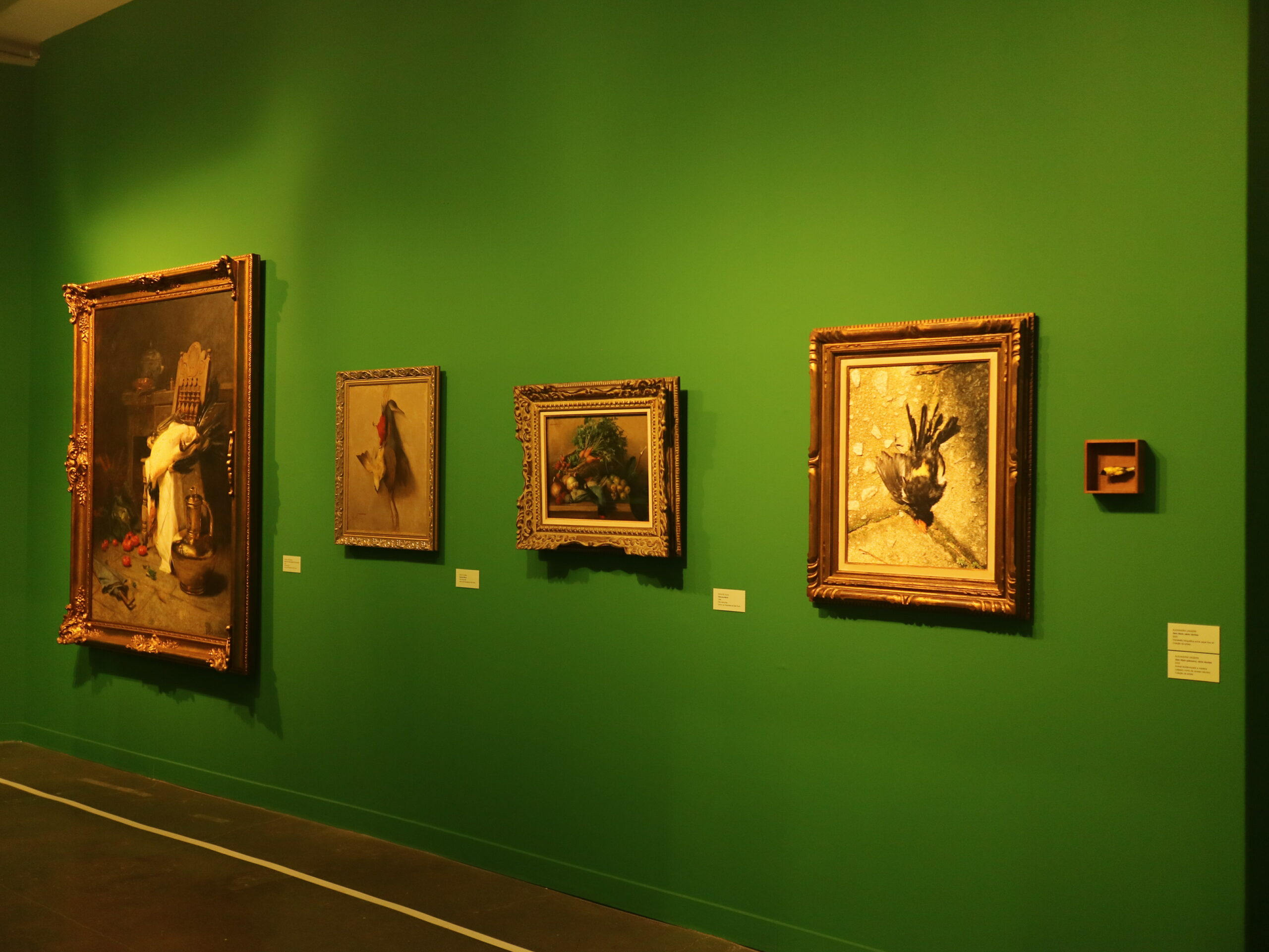 As vidas da natureza-morta