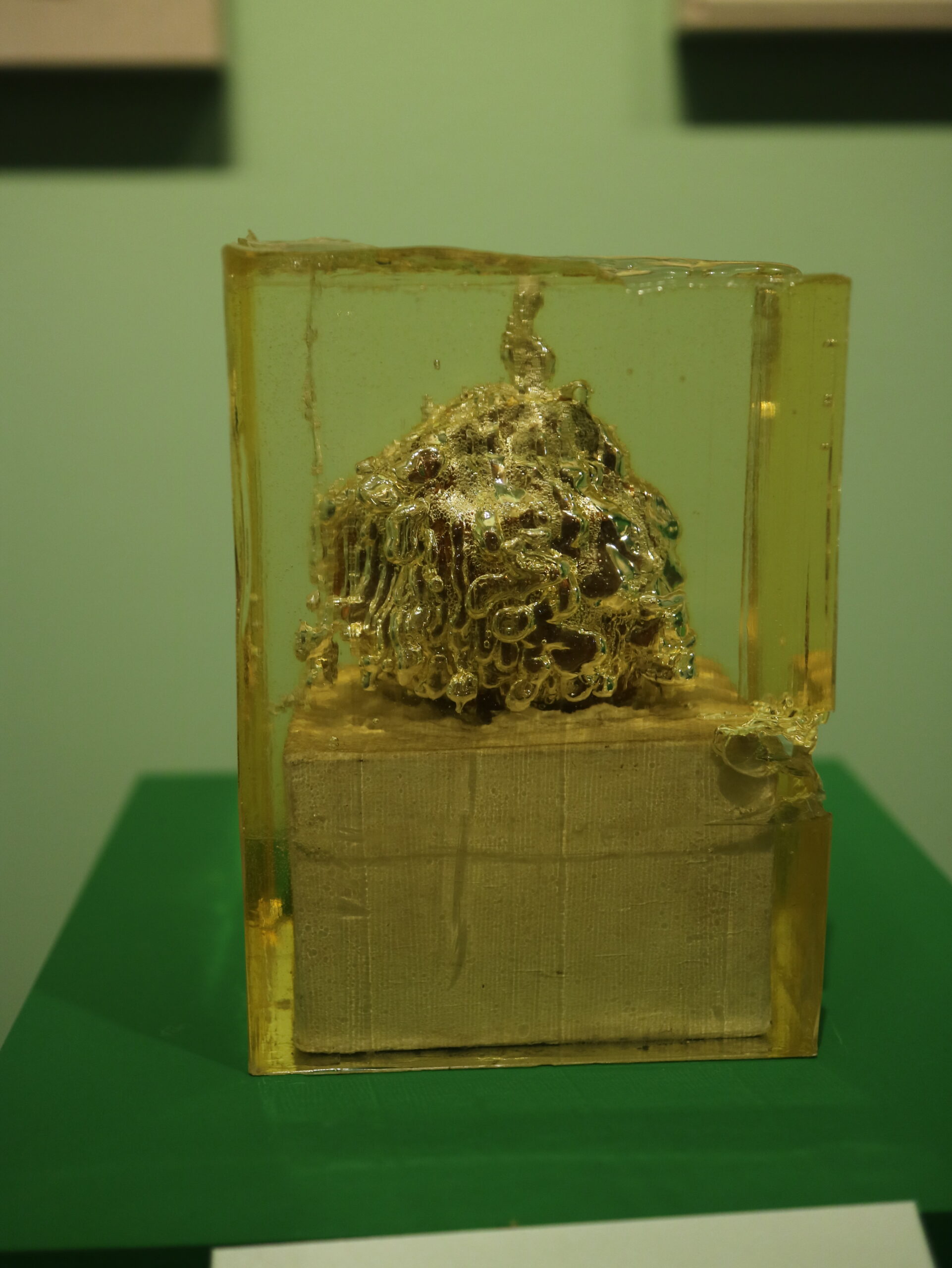 As vidas da natureza-morta