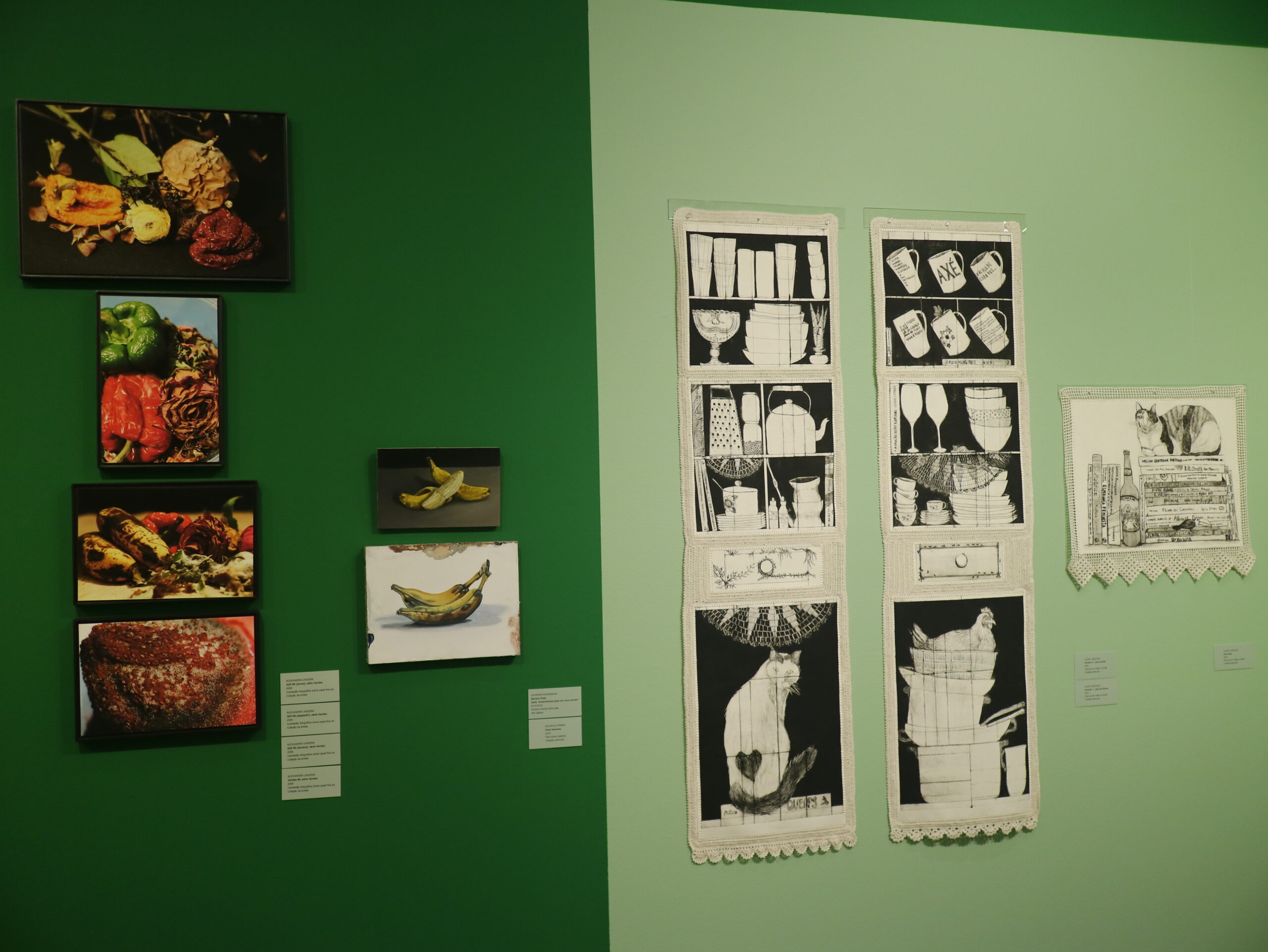 As vidas da natureza-morta