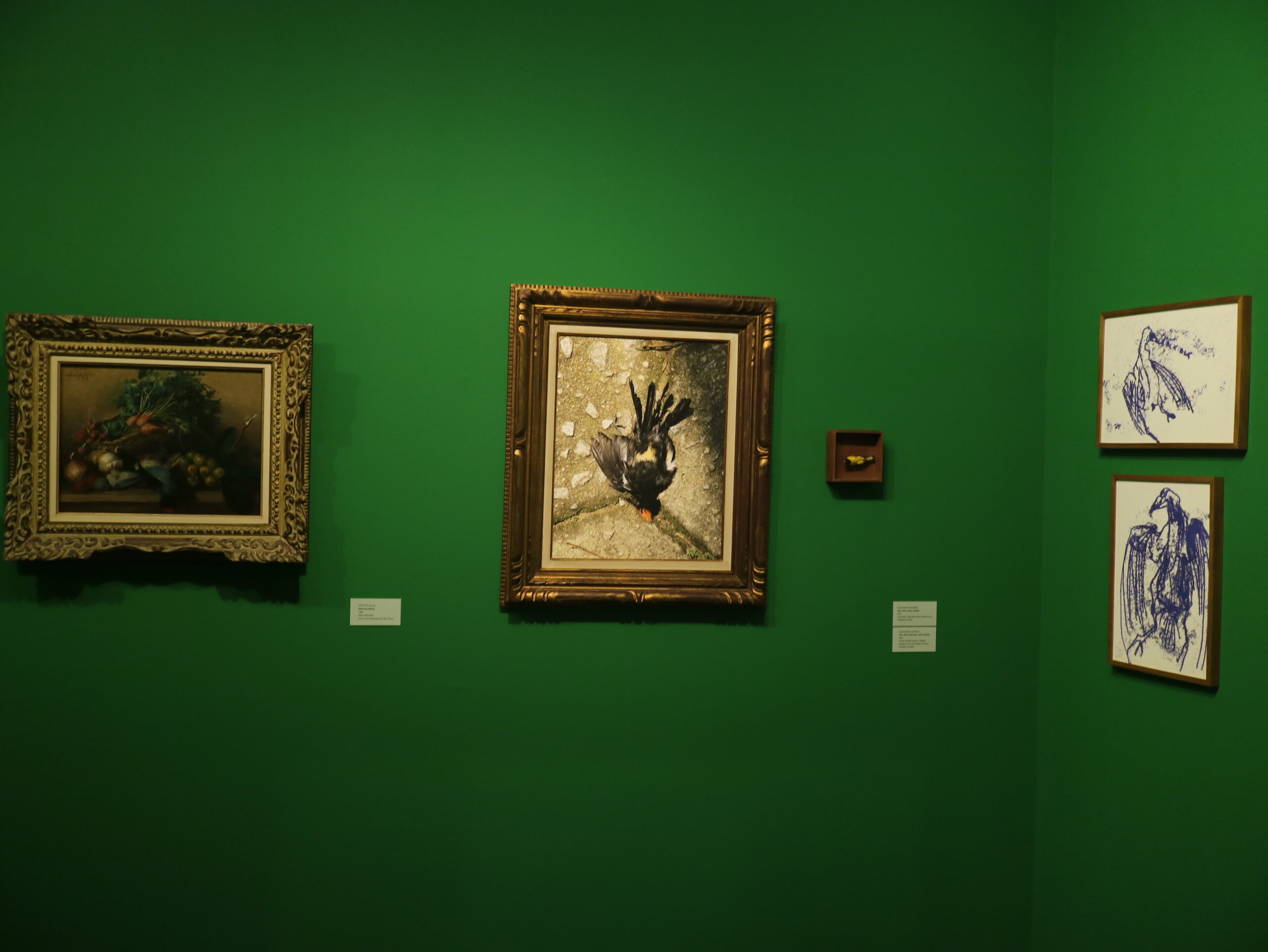 As vidas da natureza-morta