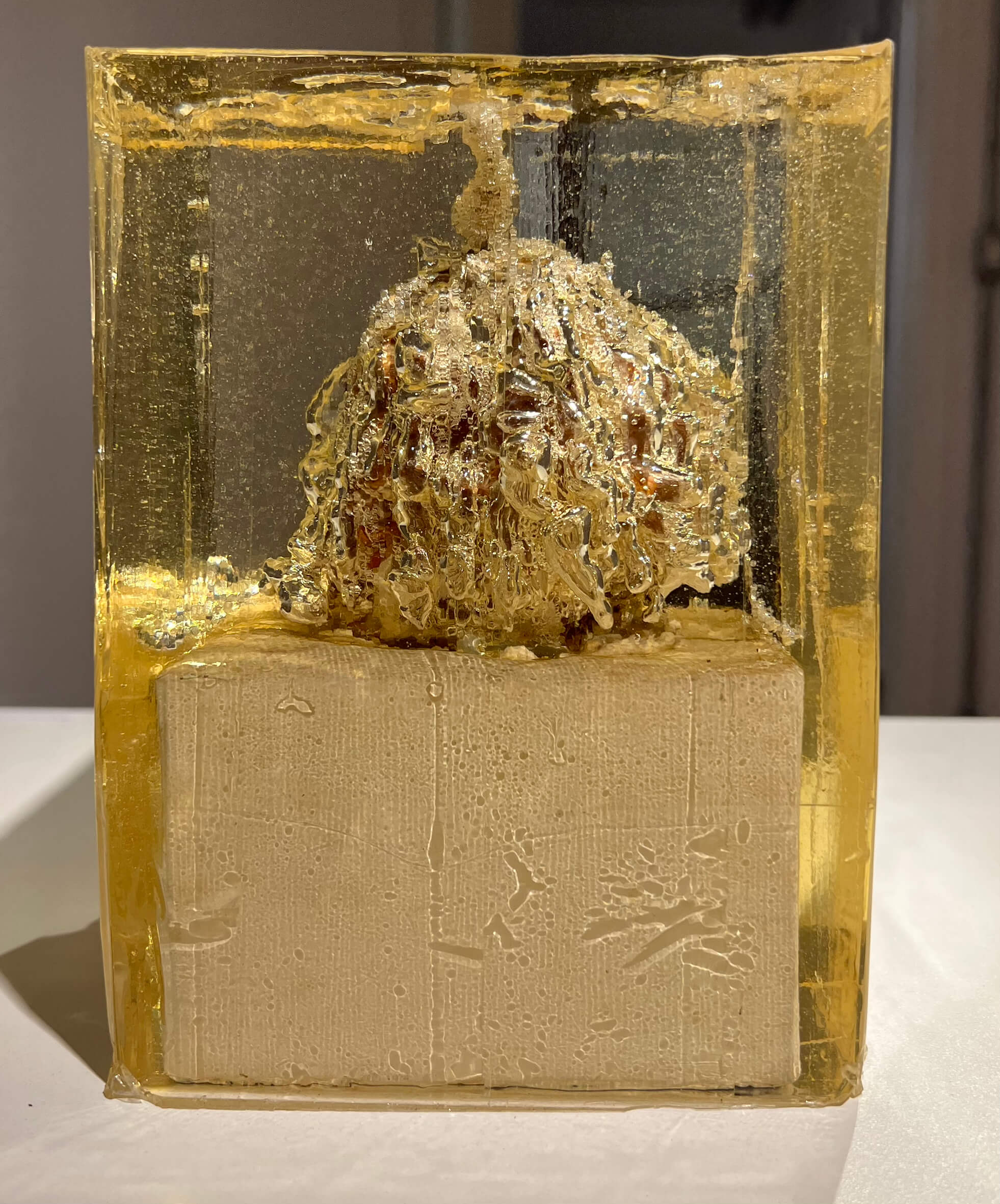 As vidas da natureza-morta