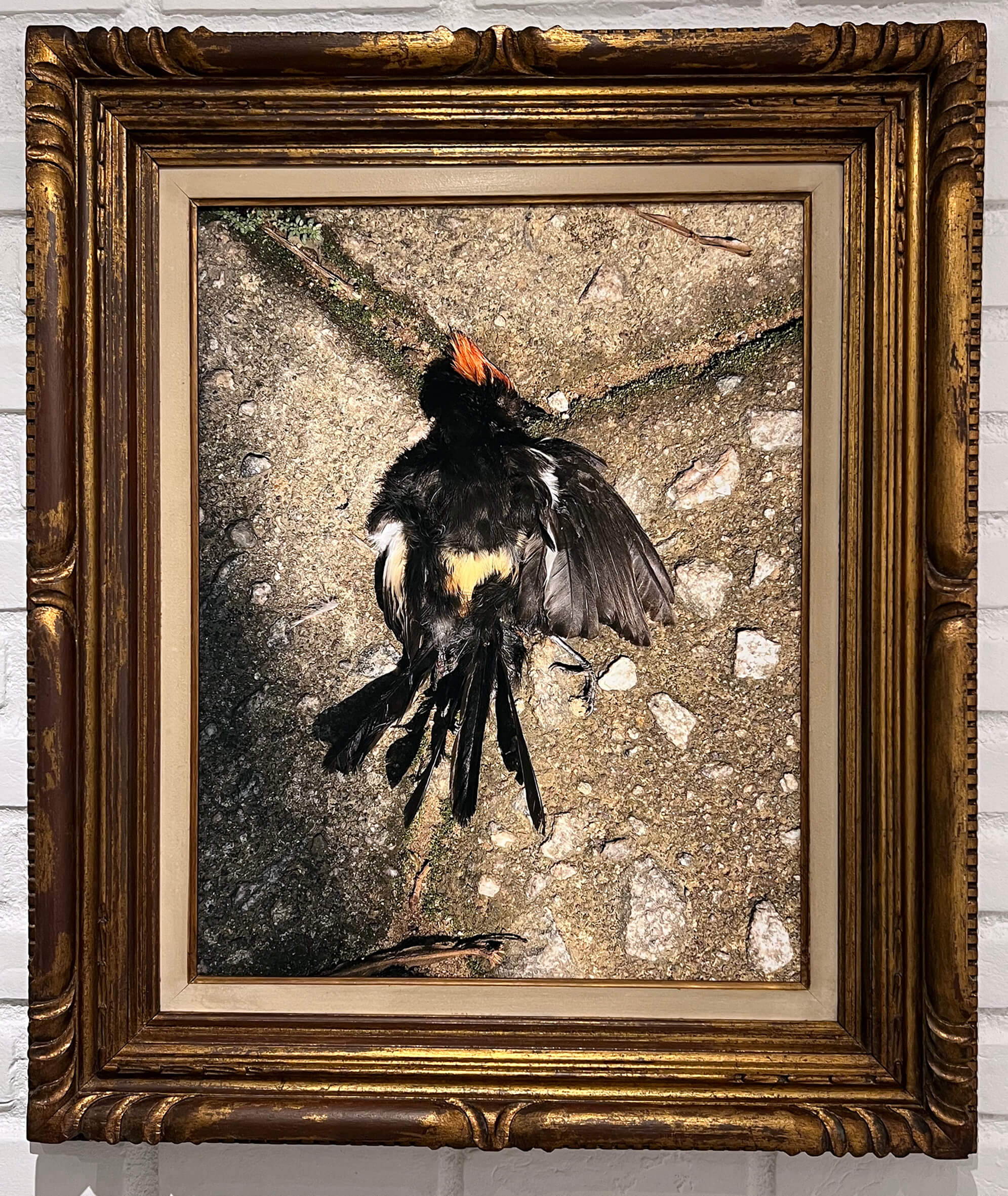 As vidas da natureza-morta